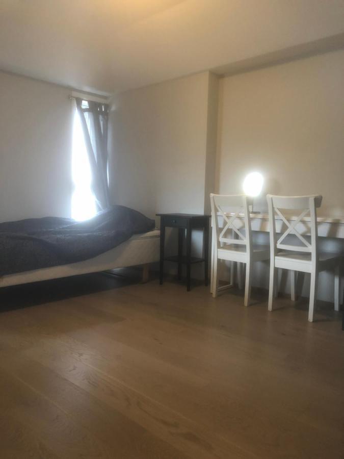 Lägenhet Penthouse Sentralt I Oslo